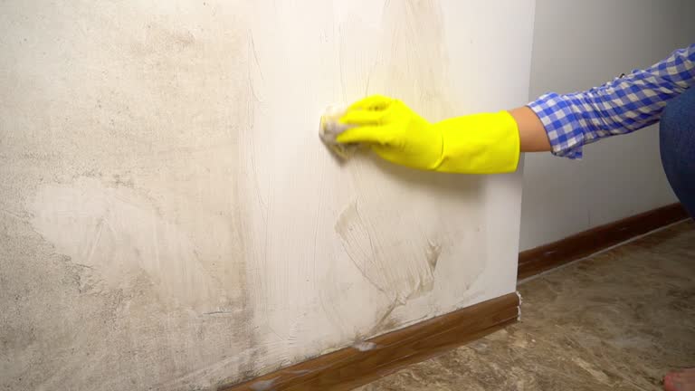 Best Residential Mold Inspection & Testing  in Orlovista, FL