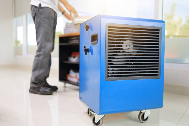 Best Mold Odor Removal Services  in Orlovista, FL